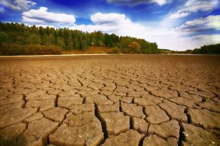 A qualcuno piace “piú” caldo: il record del 2023 salute del suolo