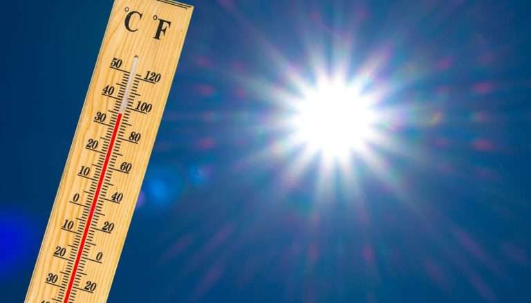 Morti da caldo, il ministero della Salute smentisce la conta dell’OMS: “Non ci risulta” Caldo